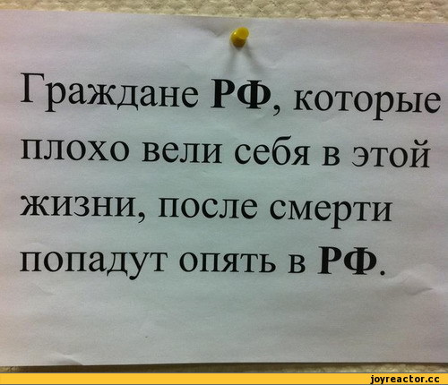 песочница, смешное, полилота