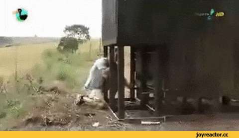 гифки, тян, туалет, surprise motherfucker