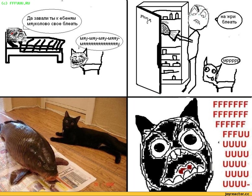fuuuu, Комиксы, котэ, йааазь