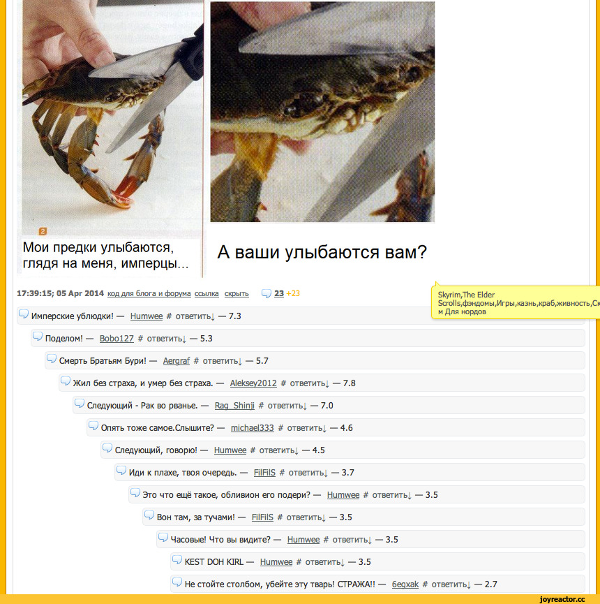 Skyrim, The Elder Scrolls, фэндомы, комменты Реактора