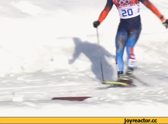gif, Олимпиада Сочи 2014, достойный поступок, спортивное поведение