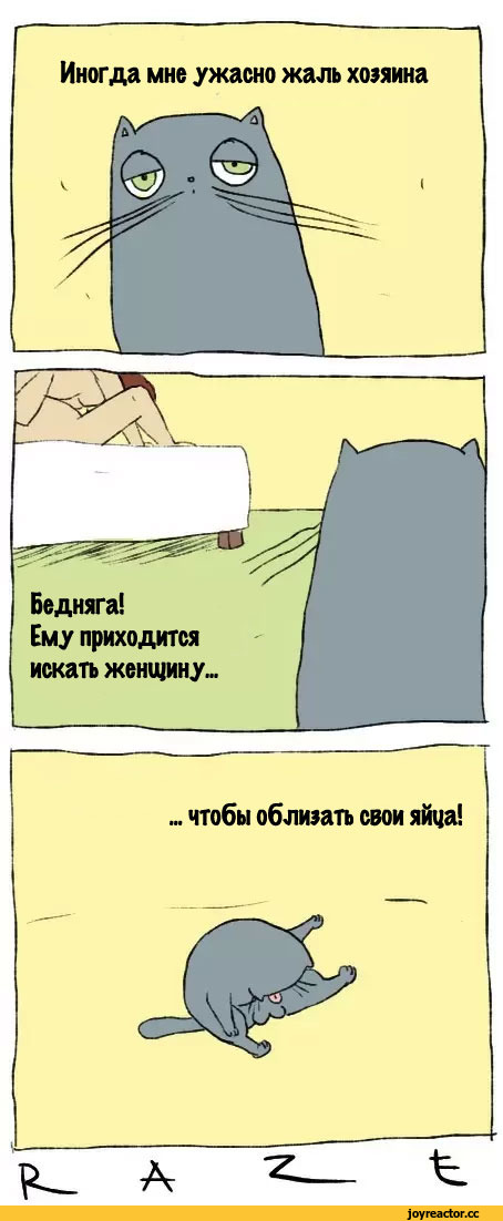 raze, Комиксы, котэ, бубенчики