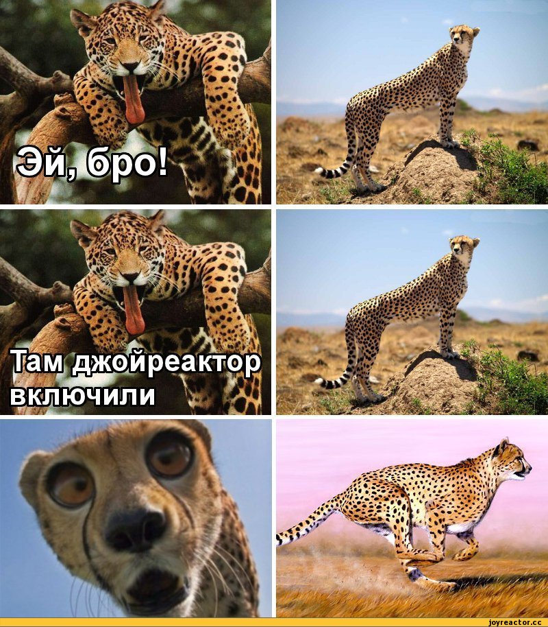 joyreactor, Комиксы, WIN