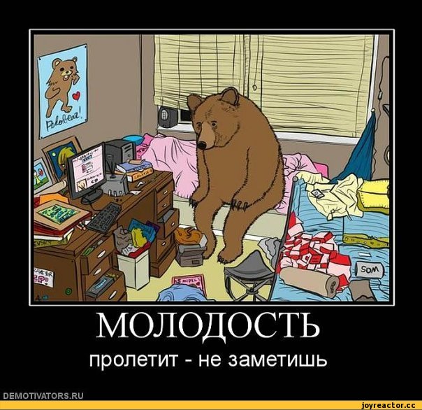 смешные демотиваторы, педобир