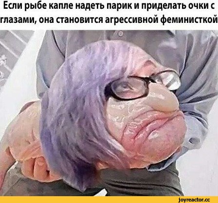 #приКОЛы ДЛЯ ДАУНОВ, разное, феминизм, рыба